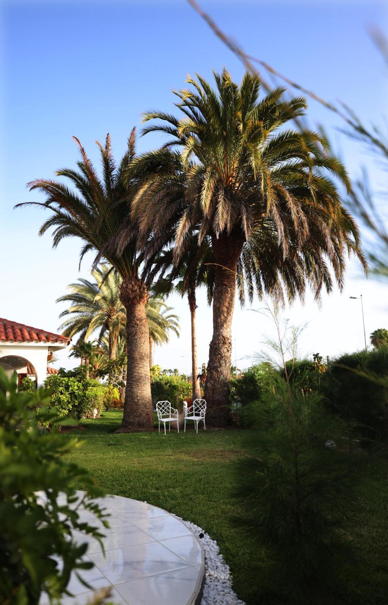 Hotel Sun Club Playa Del Ingles Extérieur photo